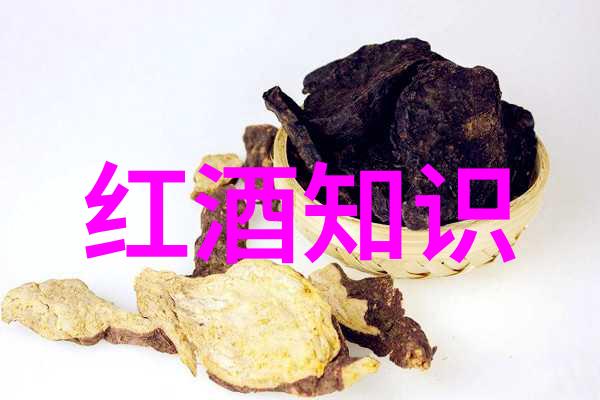 园艺爱好者必备指南如何选择和培育优质大花型玫瑰