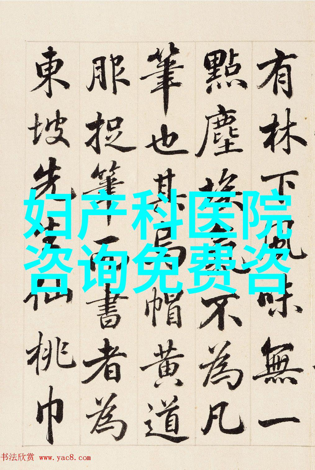 你准备好迎接胜利了吗全面的20022-03-XX版答题指南与疑问解决方案