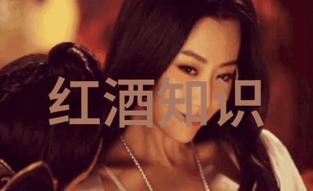 耳洞txt我的小秘密空间