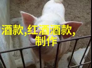 葡萄酒产区世界知名的葡萄酒生产区域
