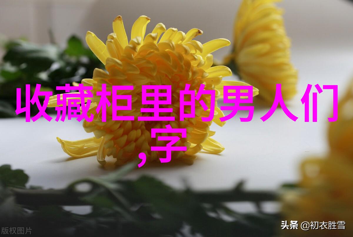 法国葡萄酒的地理标志揭秘每一个产区的独特魅力
