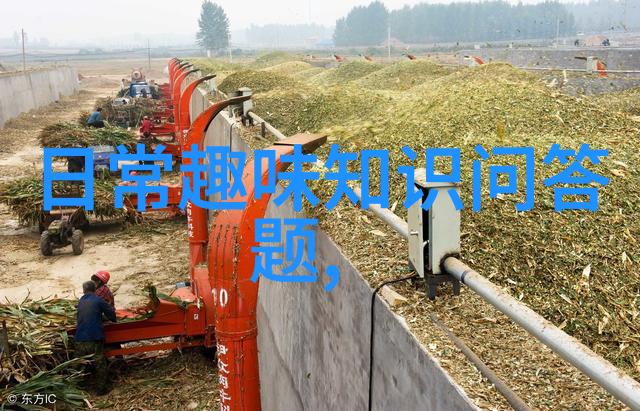 探索大中华收藏网珍品汇聚文化共享