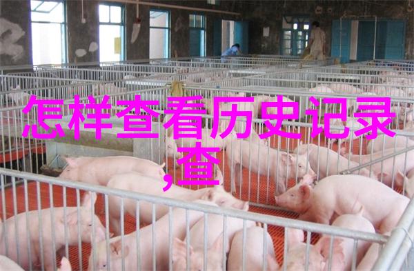 市井与璀璨揭秘上海近郊那些意想不到的旅游景点