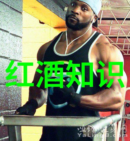 葡萄酒搜查网我在互联网上找到了最神秘的葡萄酒秘密基地
