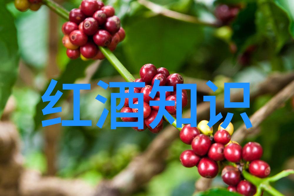 技术支持-如何恢复浏览器电脑和手机的历史记录