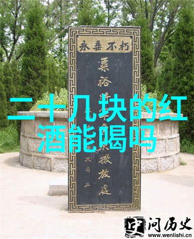 宴会必备如何选择适合场合的红葡萄酒