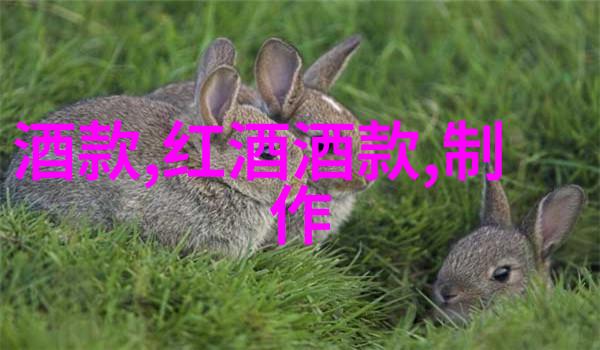 玉米品种资料与堤布宏葡萄品种并重两者各显神采