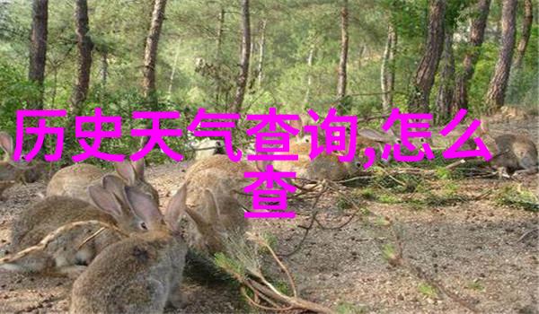 古玩收藏艺术古董家具瓷器书画的收藏与鉴赏
