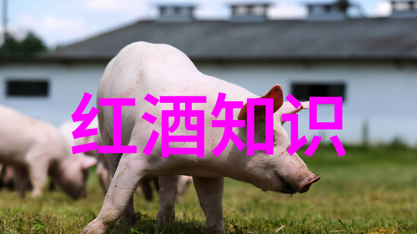 逆袭之旅从隐世奇珍到全球瞩目的中国十大aaaaa级景区