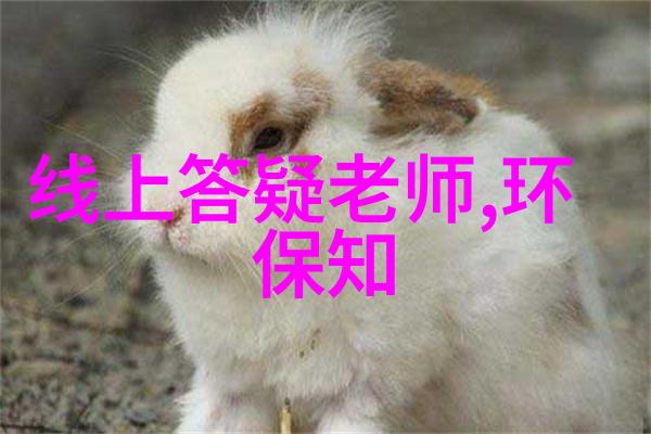 智慧之门免费探索答案的神秘网站