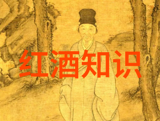 上海周边小镇旅游景点排行我去探秘了这些隐藏在上海周围的小镇美食与奇观你们一起来看看它们是怎样的吧