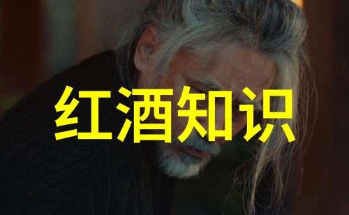 指数基金投资指南如何科学评估其内在价值