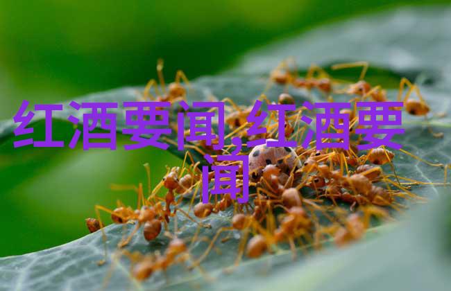 破解APP新篇章色多多绿巨人黑科技的奇迹