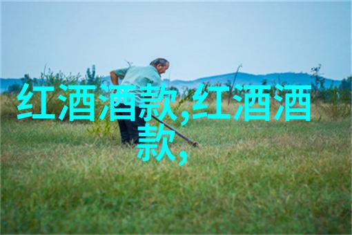 乡都典藏干红葡萄酒在自然之中品味意大利的风土人情与高级等级介绍