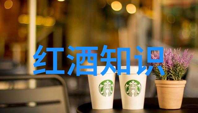 法国里昂葡萄园的葡萄酒引领中国最好的葡萄酒之路
