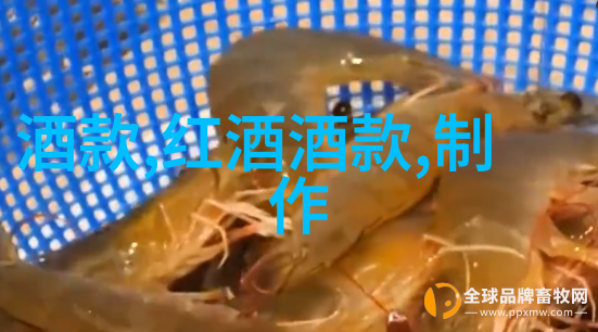 浙江古韵杭州西湖景区与灵隐寺文化探索