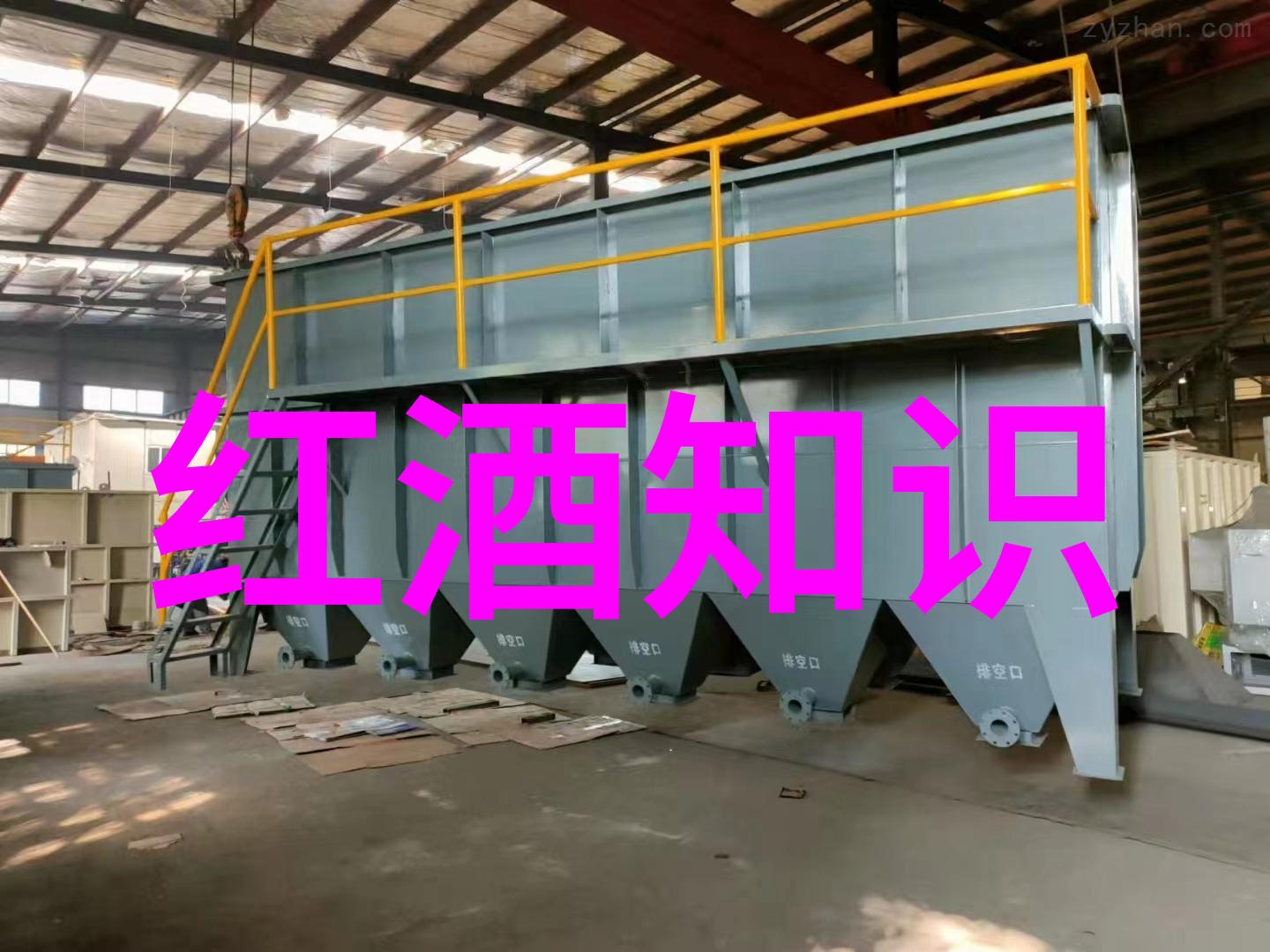 上海周边的美丽胜地探索一段轻松愉悦的旅行之旅