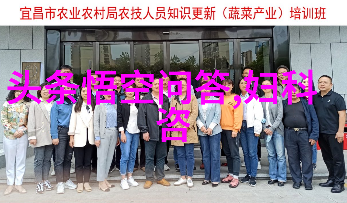 猫咪的世界从萨摩耶到曼克思探秘它们的魅力与个性