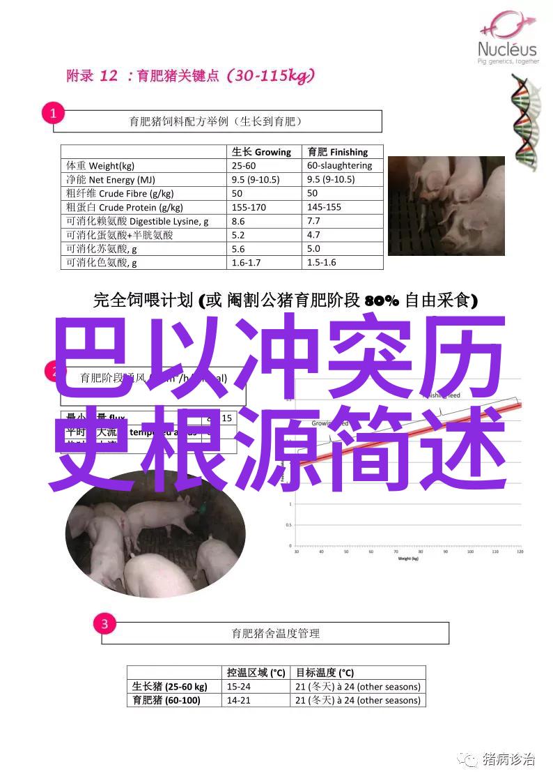 西安古都的历史见证探索陕西历史博物馆深藏的文化珍品