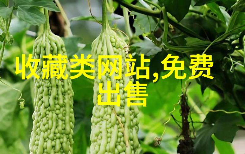 今日蚂蚁庄园答题答案是什么御兰堡酒庄Yalumba