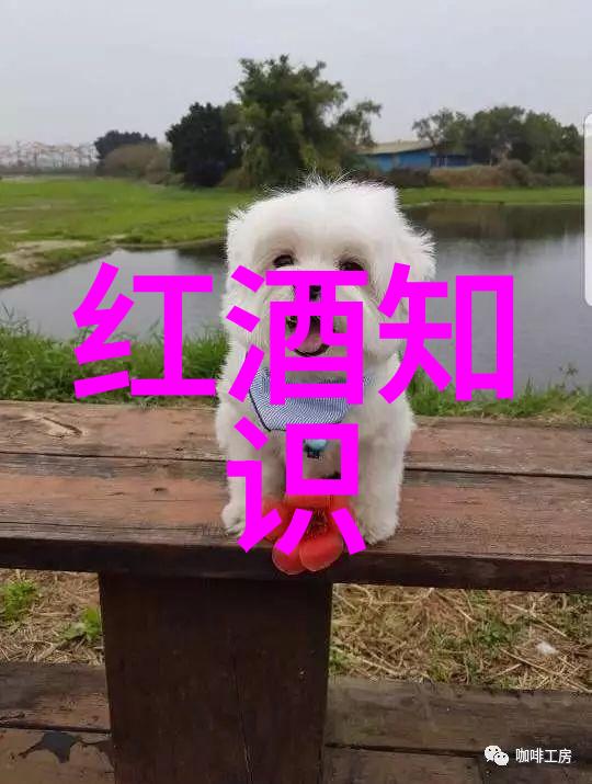 在数字化时代红酒代理如何进行数据驱动的市场分析
