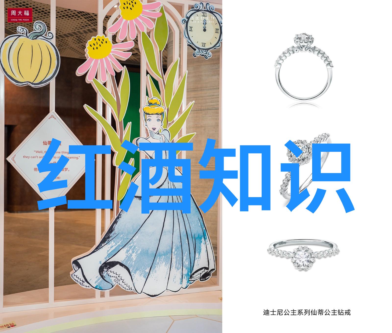 千古风流人物龙应台与她的时代