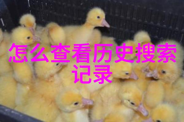 李清照情诗精选唐代女性文学代表作