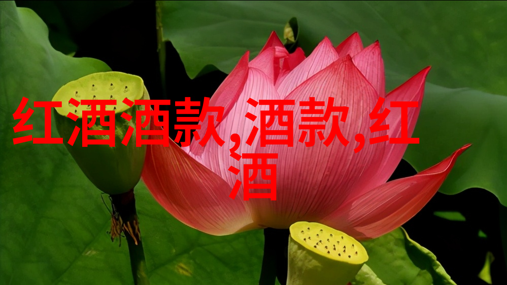 方达娜福达酒庄红酒会的主题有哪些