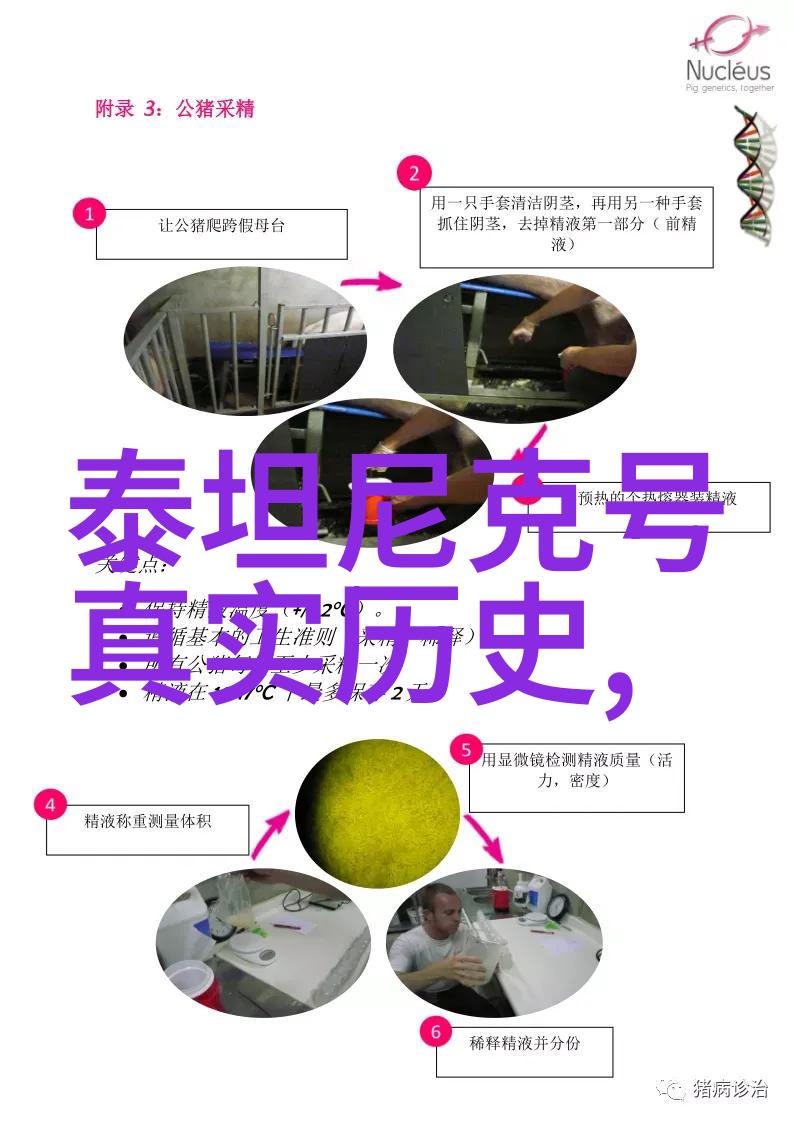 手机百度之谜隐秘的搜索引擎