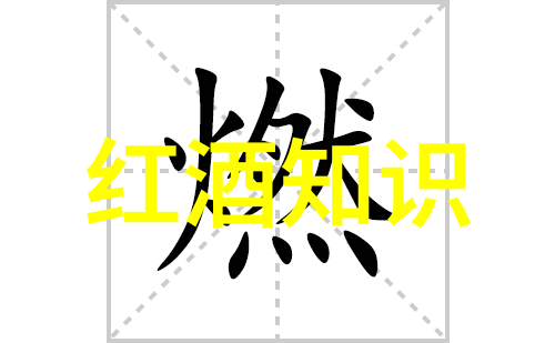 姜可全文免费阅读-追忆与未来探索姜可的故事背后
