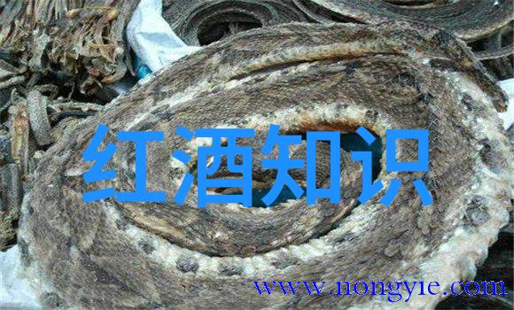 宫殿塔楼与牢狱欧洲城堡中又藏着怎样的历史
