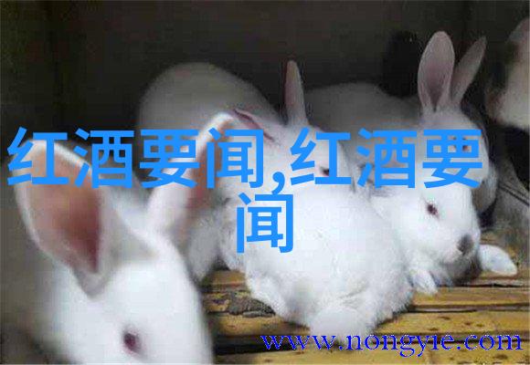 迈开腿让我吃一下你的小草莓情侣间的浪漫约会