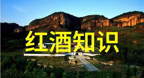 阿根廷主要葡萄酒产区-美酒之地探索阿根廷葡萄酒的金色果园