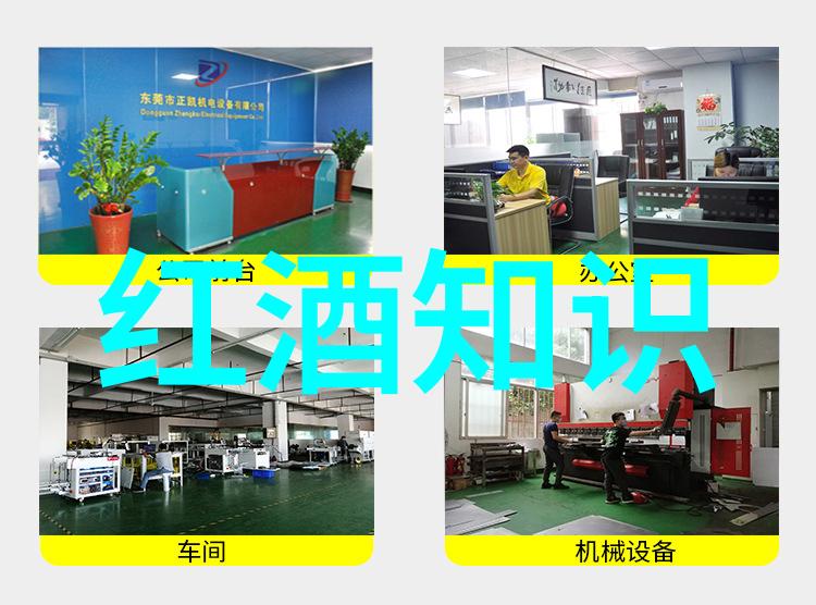 带你走进波尔多古典园地介绍2017年赤霞珠生长环境和工艺流程