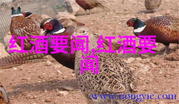 数据驱动探索200公里范围内的旅游景点精选