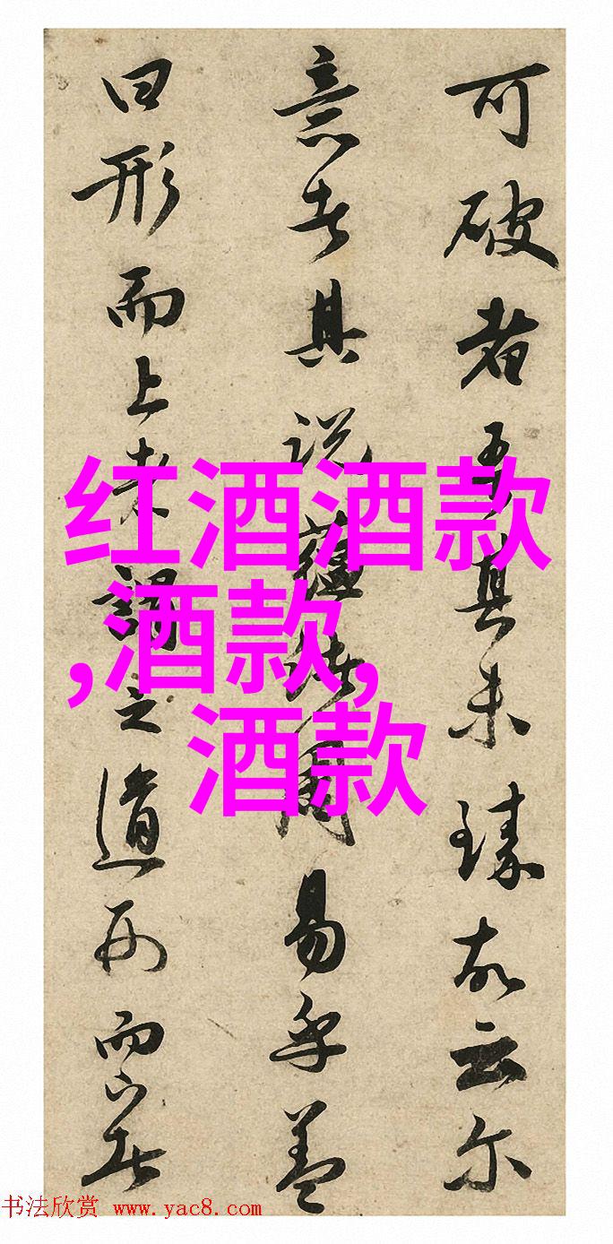 历史的天空星辰的回声与时光的飞航