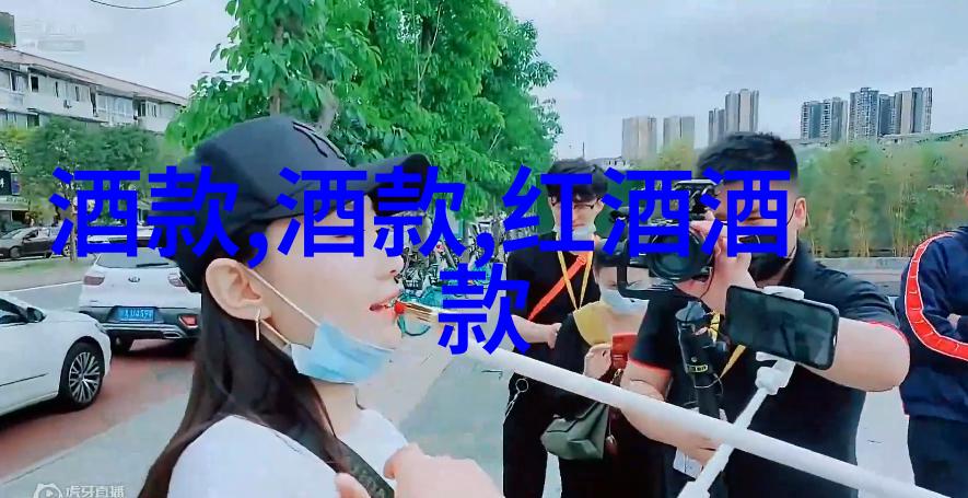 酿酒之旅葡萄与心得的交响200字