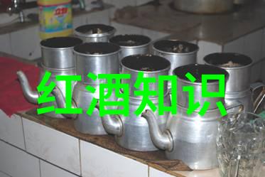 今夜为你醉 小说-月下轻吟酒中梦回