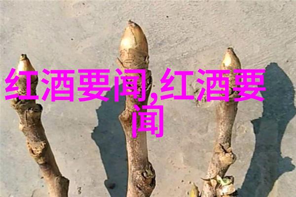 顶级红酒产区探索阿尔萨斯的风土人情与葡萄园秘密