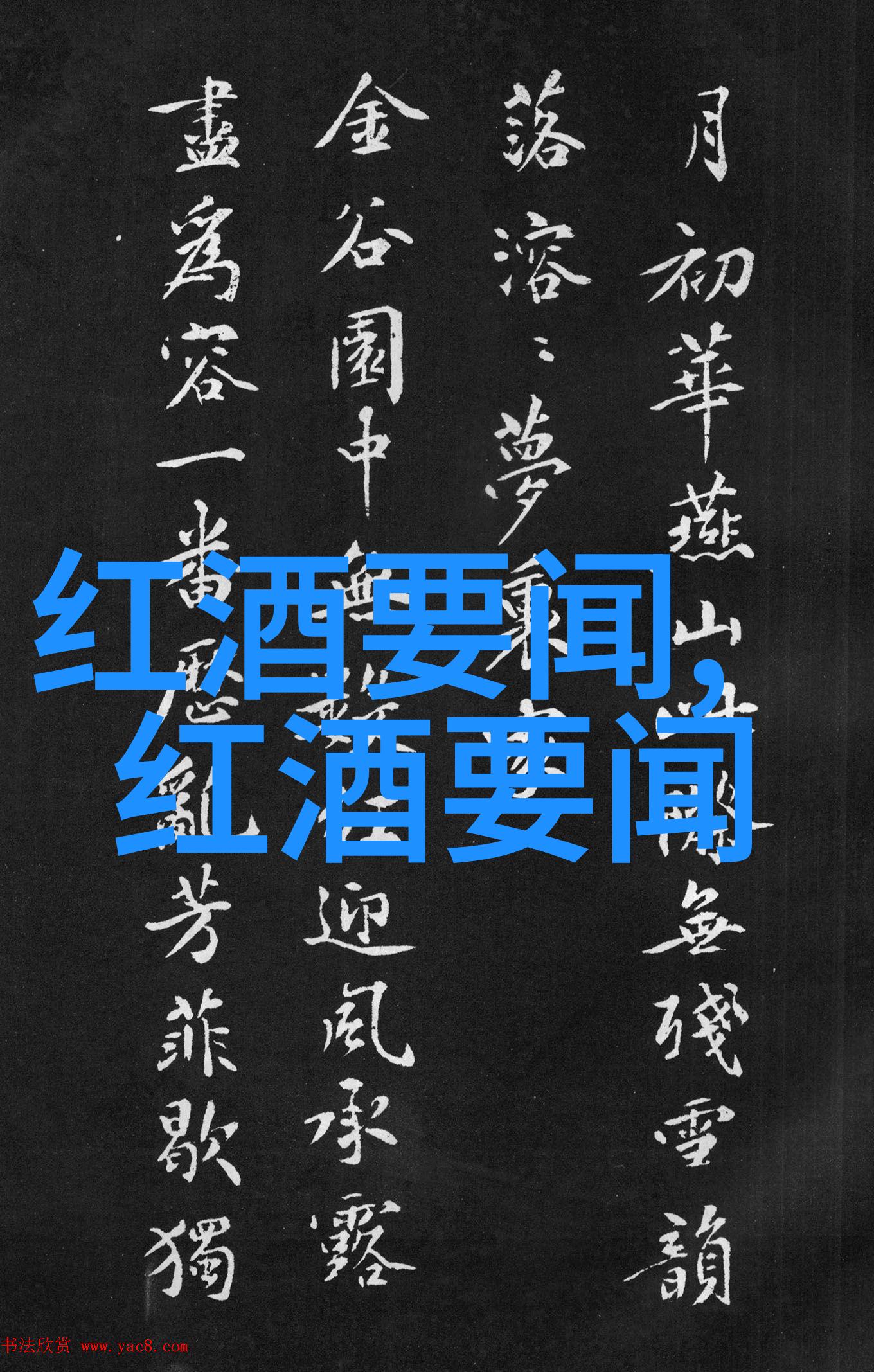 他们如何利用自己的专业技能为国家服务并推动发展进步