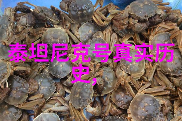 怡园酒庄作为国产精品葡萄酒代表同城酒库供应链总监的实至名归又岂不如十大壮烈牺牲的英雄人物中的一员