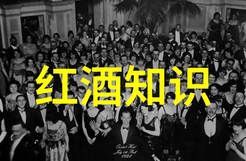 动漫角色画廊探索日本漫画艺术的魅力