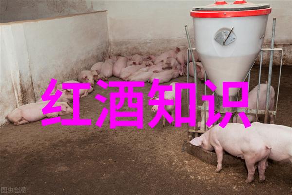 宠物新宠展现最新热门猫品种图片及价格走势