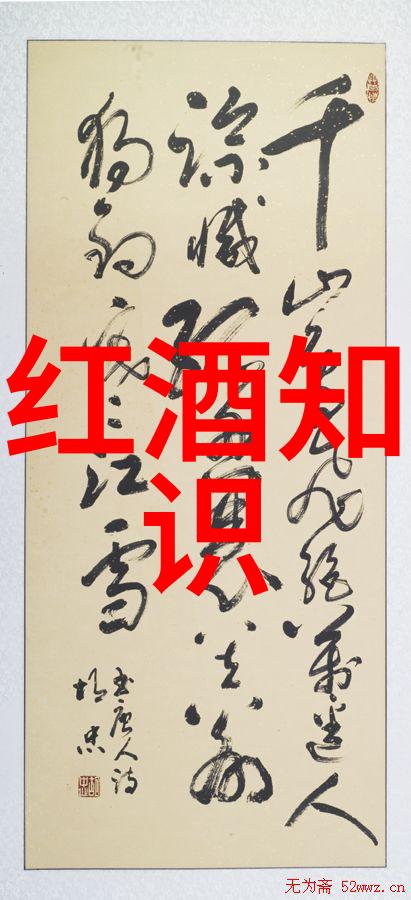 视频收藏的艺术与科技如何让每一秒都值得珍惜