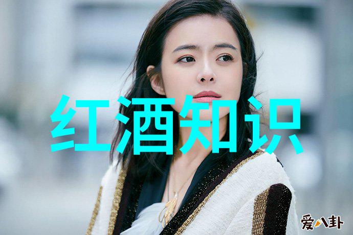 法国酒庄文化介绍 - 法国葡萄酒之旅揭秘千年传统与时尚魅力