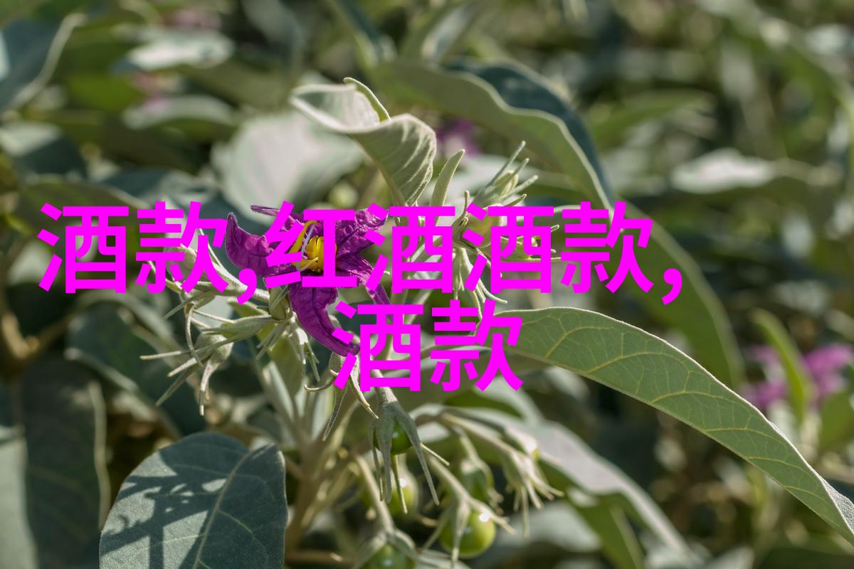 石砖与雕花庄园的沉稳与城堡的霸气
