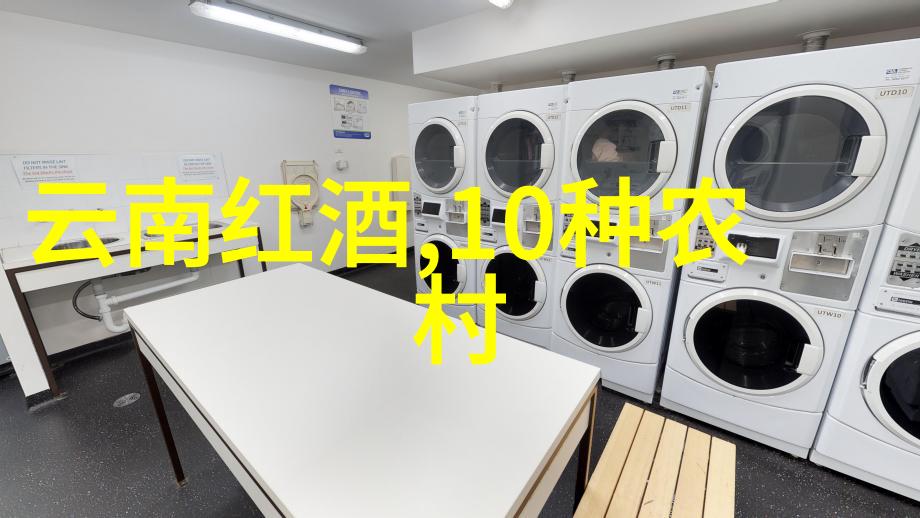 北京庄园开发商老板面临哪些挑战以及他们是怎样克服这些挑战的