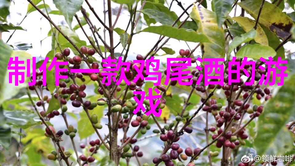 人物故事我家的阿姨她的生活简直就是一部电影