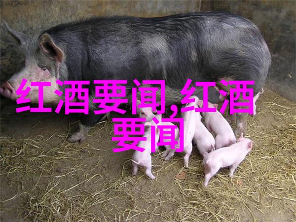御品轩下的秘密画卷一品二品三品中文字幕的艺术探究