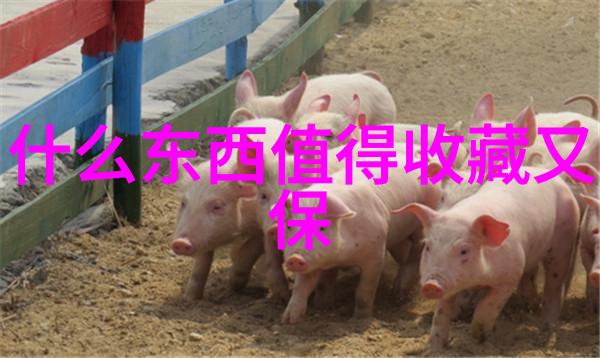 数字艺术的新纪元虚拟收藏品的崛起